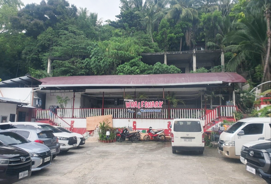 세부웨일샤크