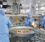 2025년 하반기 오리온 채용 : 채용인원