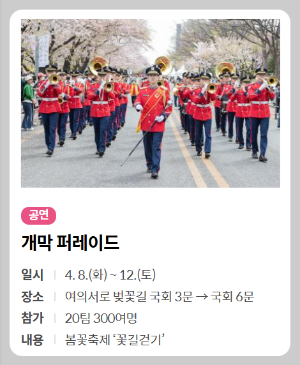 여의도 봄꽃축제 