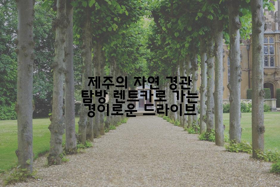 제주의 자연 경관 탐방 렌트카로 가는 경이로운 드라이브