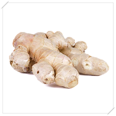 식도염 좋은 음식