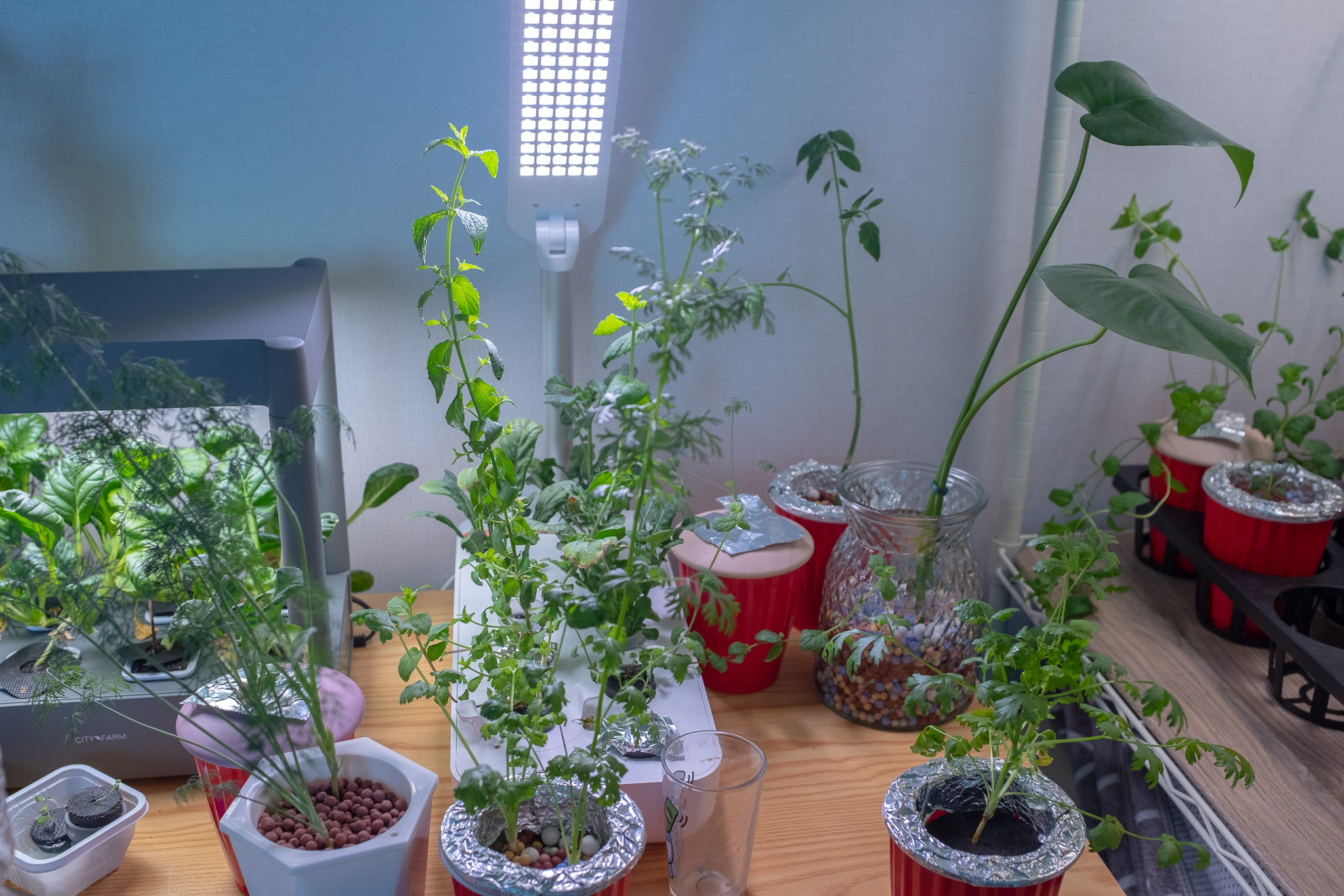 집에서 시작하는 수경재배 방법