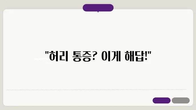 풀리오 백풀러 허리 마사지기 내돈내산 후기와 가격 할인 이벤트