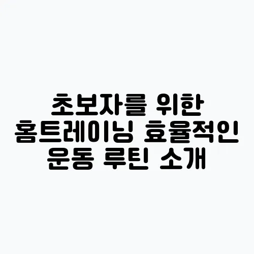초보자를 위한 홈트레이닝 효율적인 운동 루틴 소개
