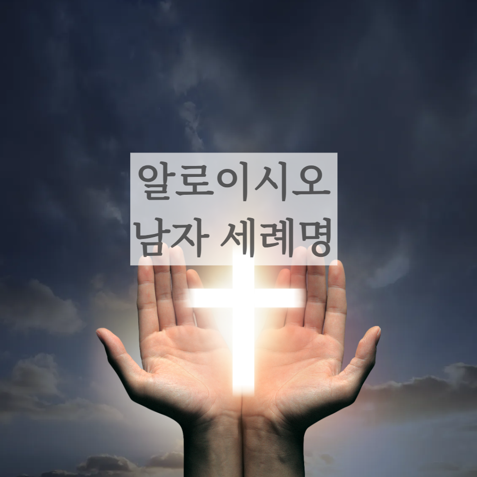 남자 세례명 알로이시오 6월축일 가톨릭 천주교