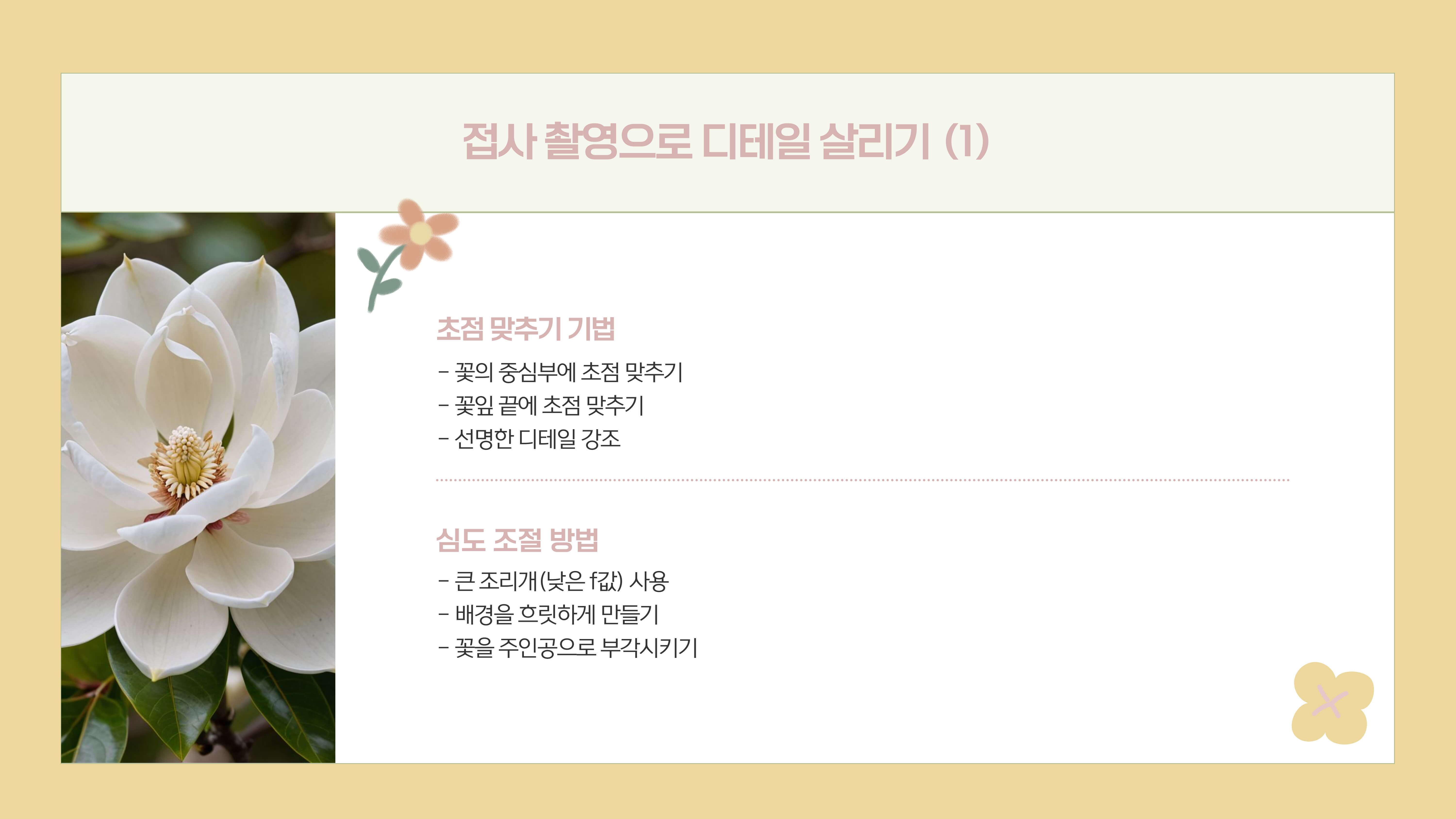 화담숲 봄꽃 사진 촬영 팁