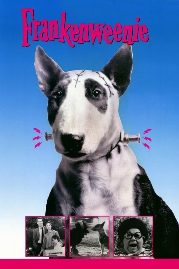 프랑켄위니(Frankenweenie, 1984)
