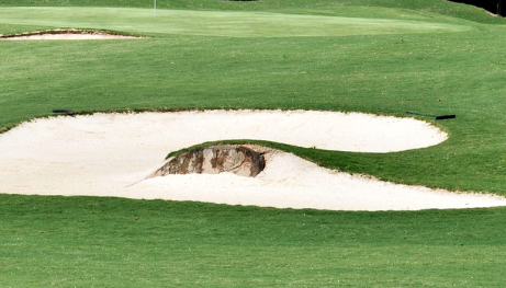 스펙 시대의 함정: 청년들이 일자리를 찾지 못하는 진짜 이유 관련 사진