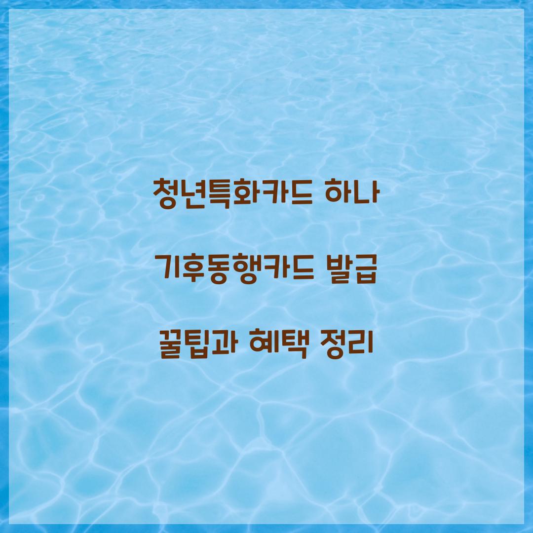 청년특화카드 하나 기후동행카드