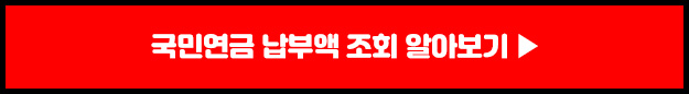 국민연금 납부내역조회
