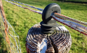 전기기사-실기-기출문제-공부방법-요점정리-교재추천