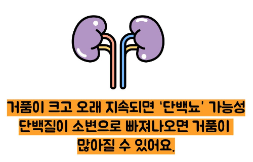 오줌에 거품