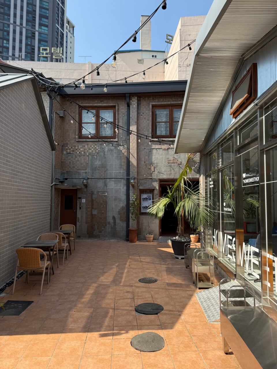 생생정보 2309회 핫 플레이스 Now 대구 힙스터들의 성지, 북성로 공구 골목 선일포금, 공구빵, 대화장, 원조 북성로 우동불고기