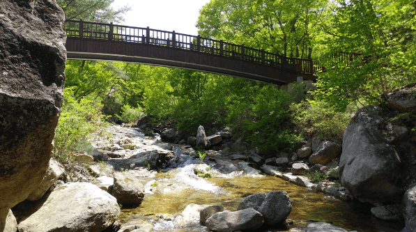 3. 국립 황정산 자연휴양림