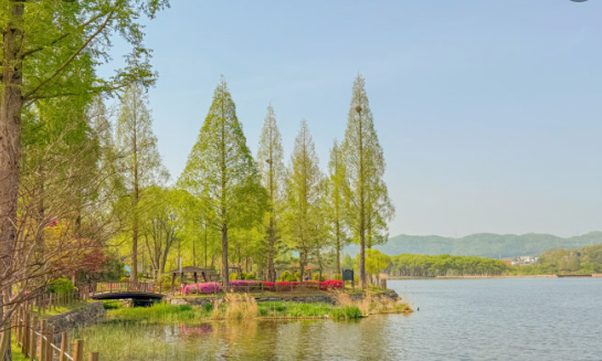 변신한 신정호의 매력