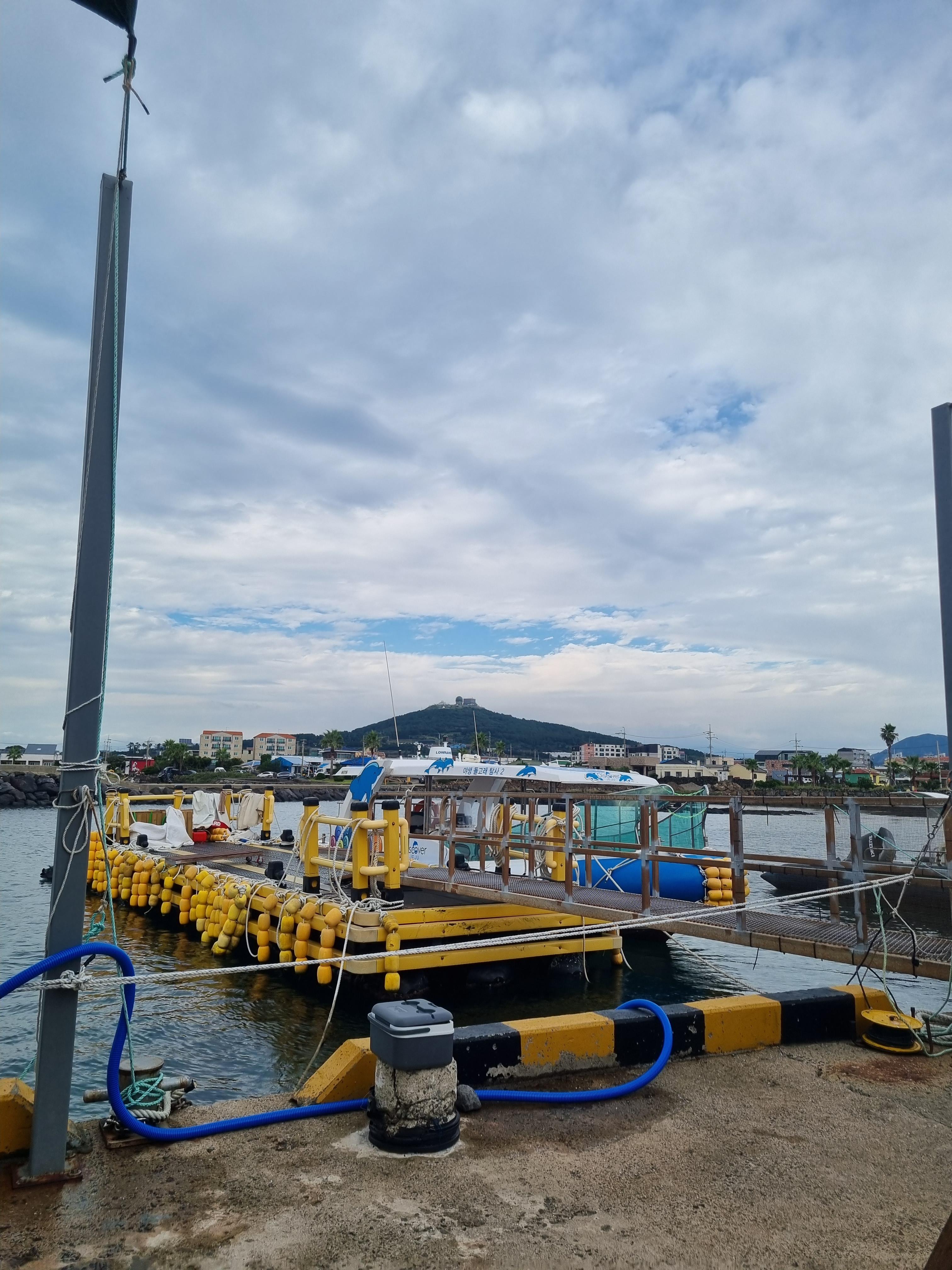 제주돌고래 힐링투어