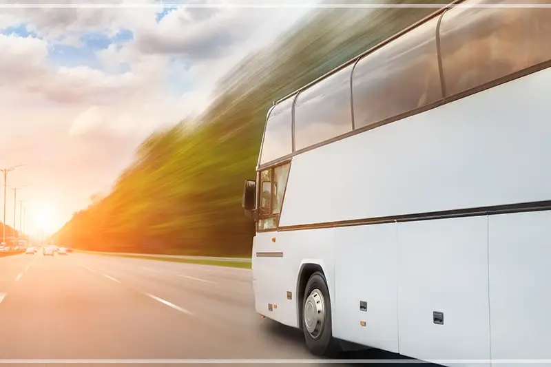 2025-오션월드-셔틀버스-예약-가격-운행노선