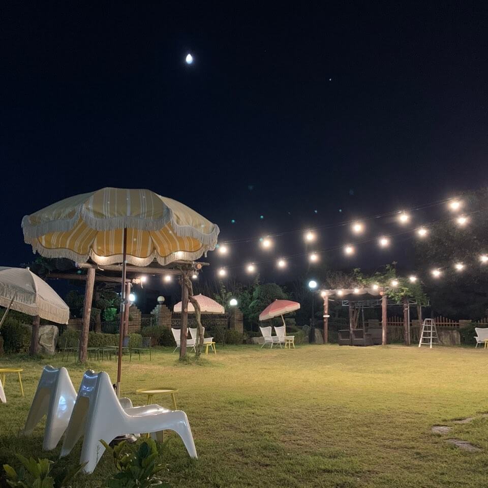 고양시 애견카페 추천 BEST 5 : 강아지와 함께 가기 좋은 실제 운영 카페 총정리