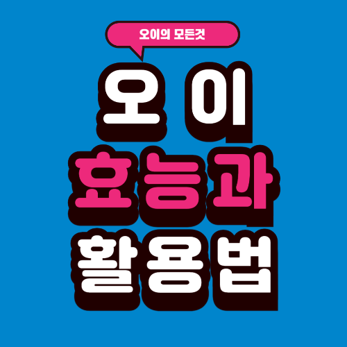 오이의 건강 효능과 맛있는 활용법: 건강과 맛을 동시에 잡는 비결