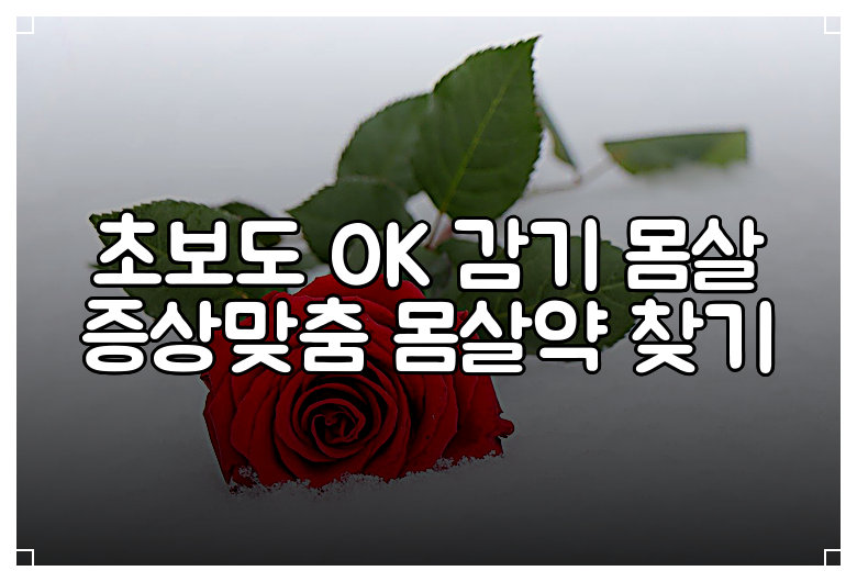 초보도 OK 감기 몸살 증상맞춤 몸살약 찾기