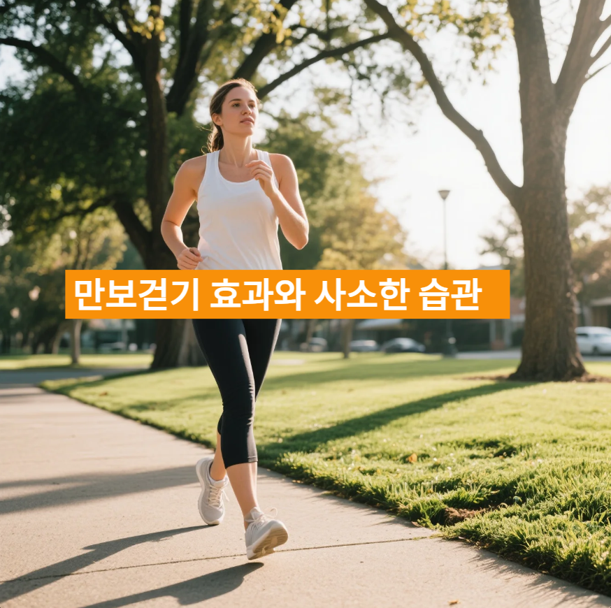 만보걷기 내 몸을 살리는 사소한 습관들