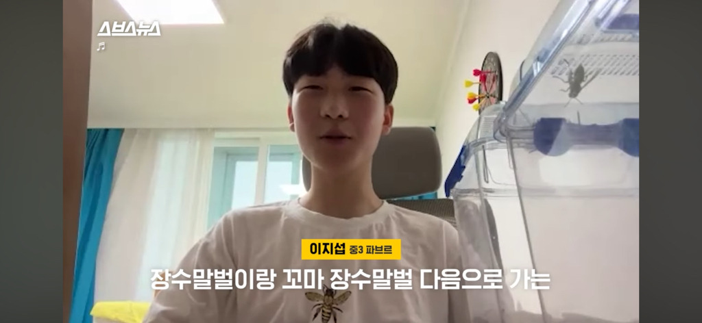 이지섭 김좀말벌