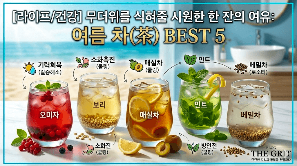 [라이프/건강] 무더위 갈증 해소와 기력 회복에 좋은 여름 차(茶) BEST 5 종류 및 효능 가이드 썸네일 (더 그릿