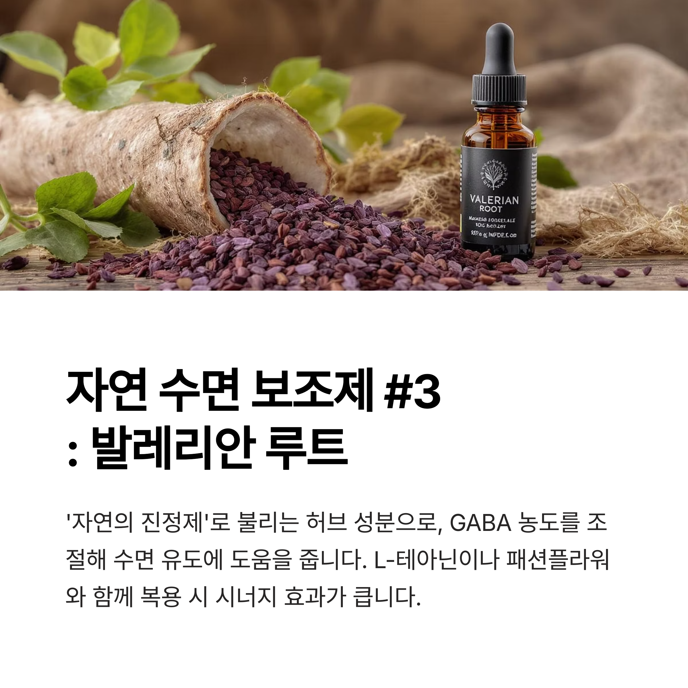 발레리안 루트 (Valerian Root)