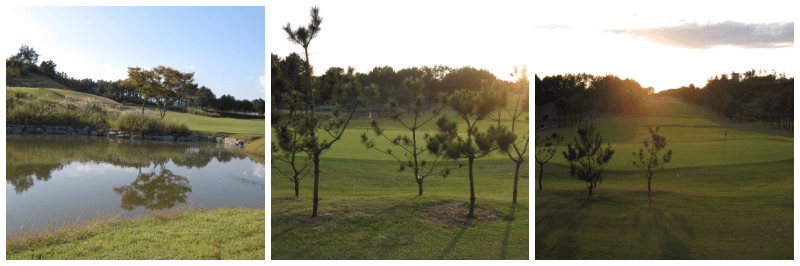 예천 체력단련장 사진 3개