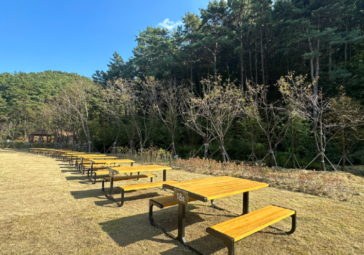 무봉산 자연휴양림