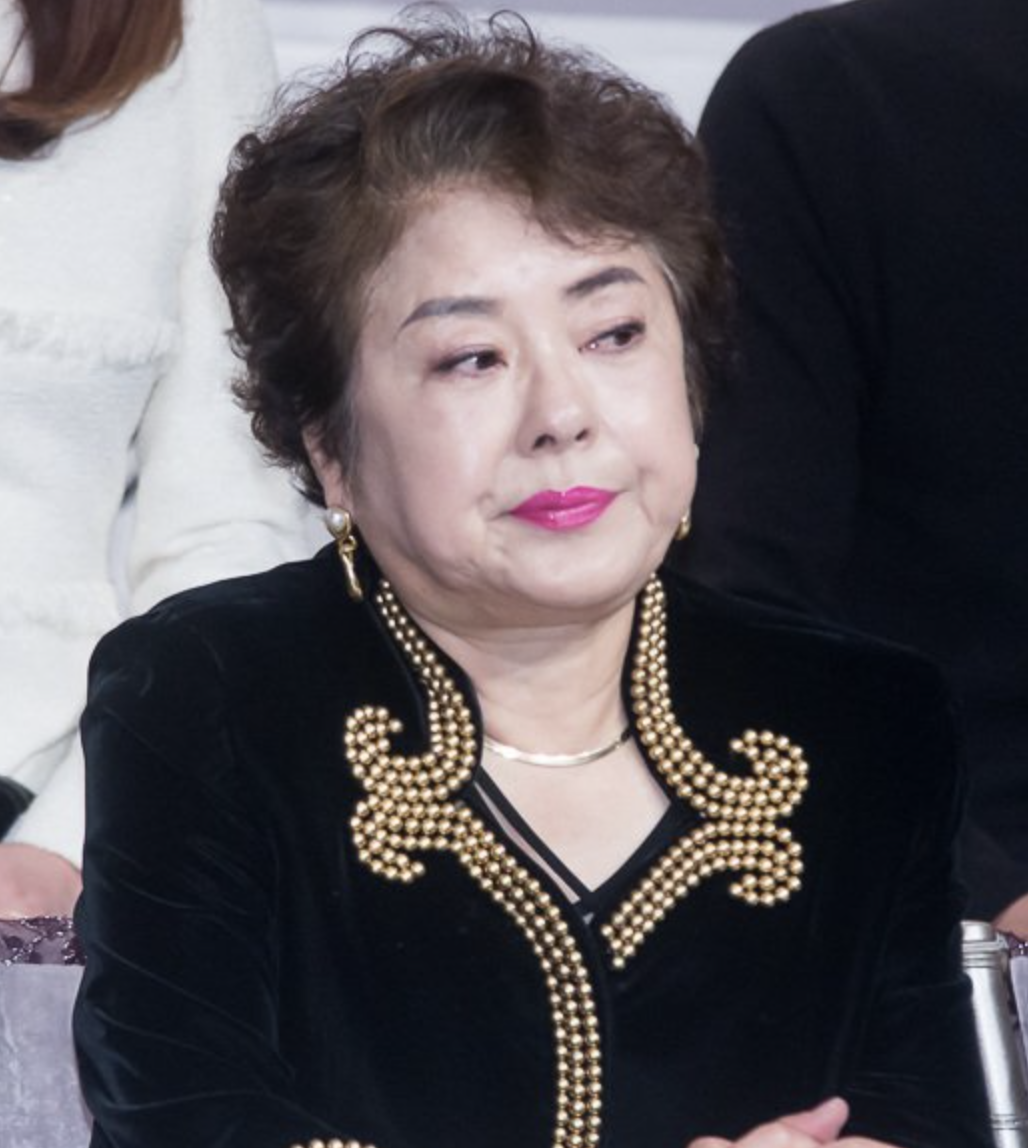 김정하 방송활동