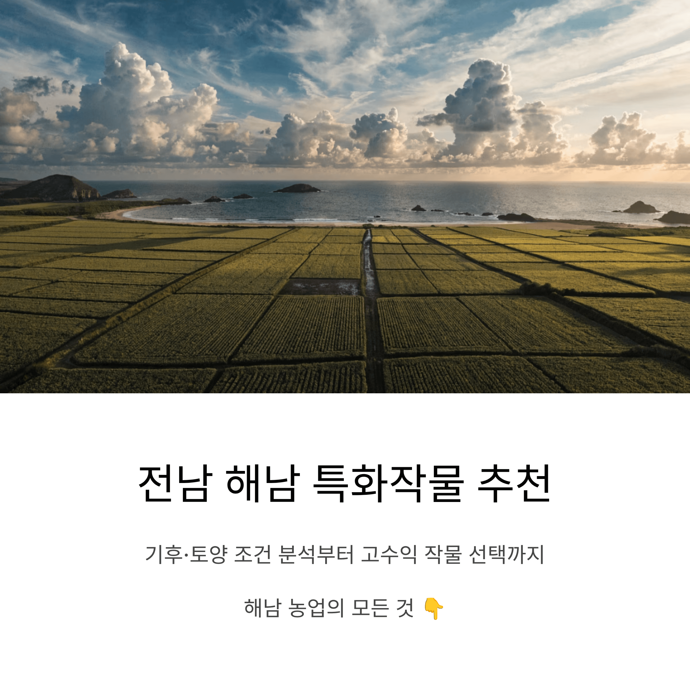 해남 지역 기후와 토양 특성에 맞는 특화작물 추천과 재배 가능성 분석