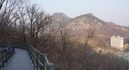 산림청 명품숲길 겨울 트레킹 : 서울 안산 순환형 무장애 자락길