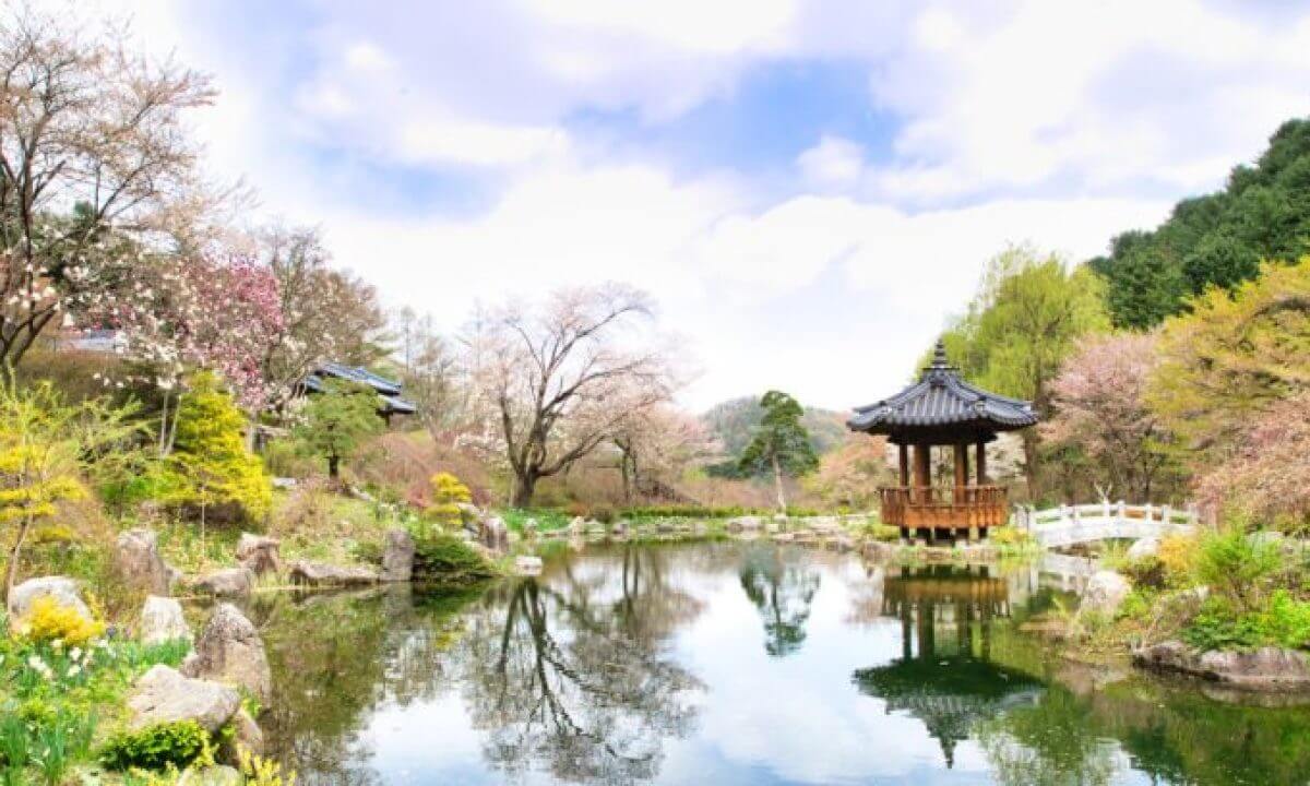 가평 아침고요수목원 사계에서 마주하는 계절의 질서와 인간이 개입한 자연의 균형