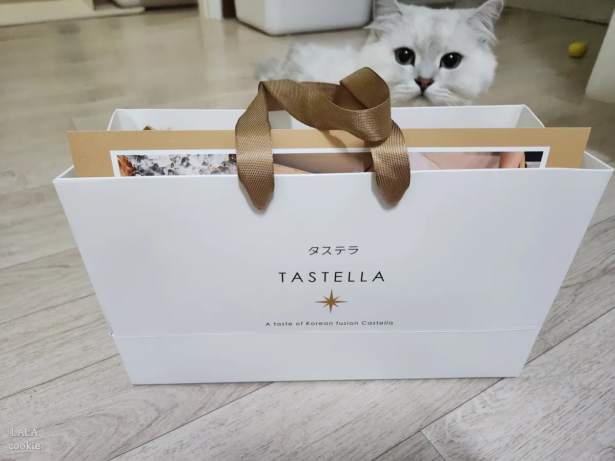 대구-중구-베이커리-카페-대봉정-카스테라-포장-쇼핑백