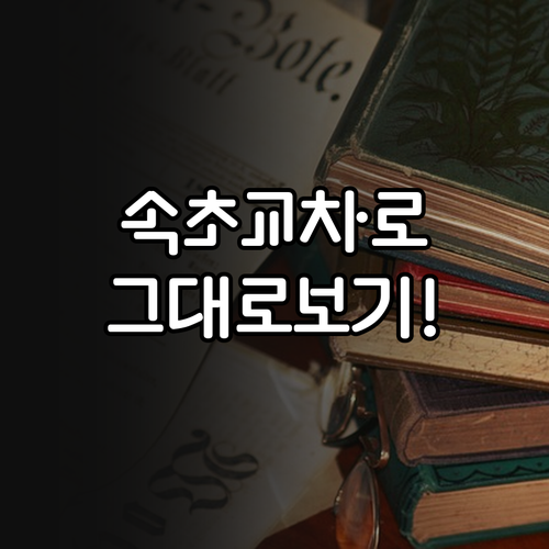 속초시 교차로 신문 그대로보기 서비스..