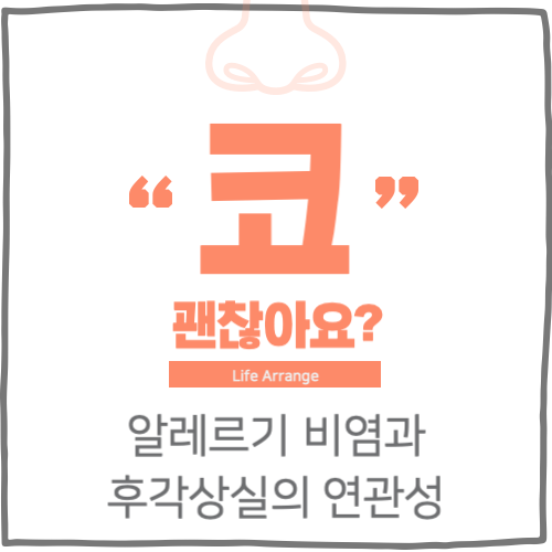 알레르기 비염과 후각상실의 연관성