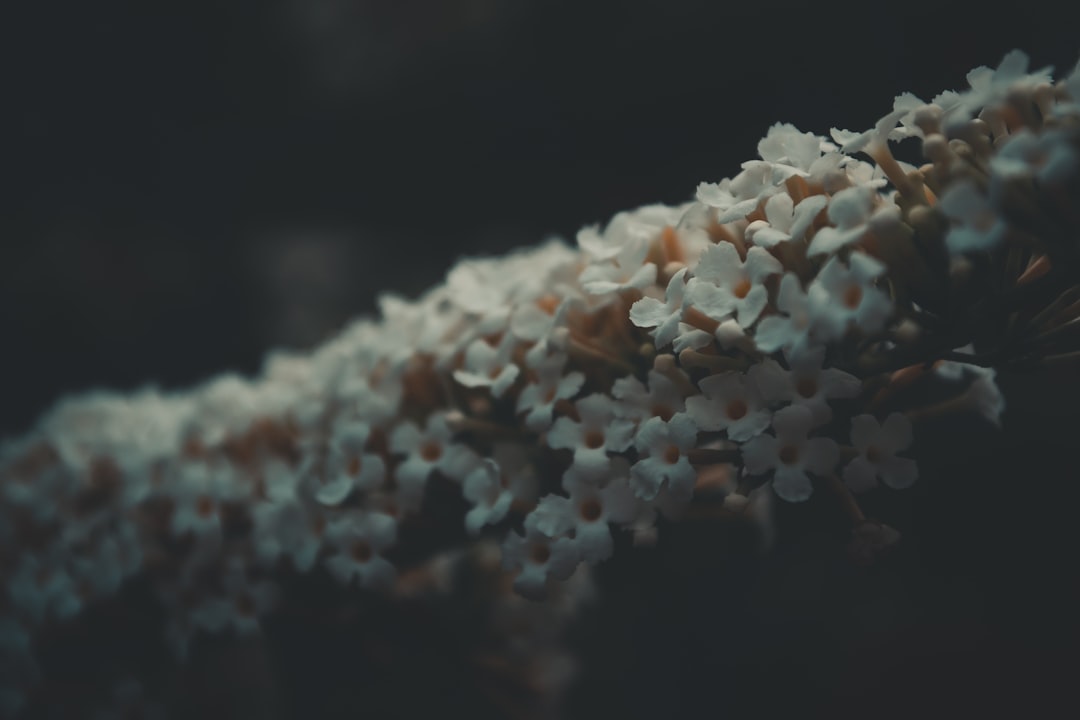 Expiration