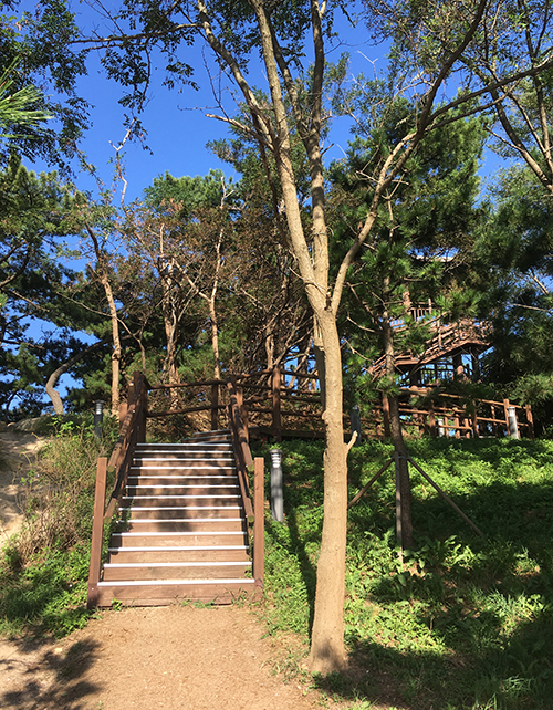 선녀바위-해수욕장-전망대