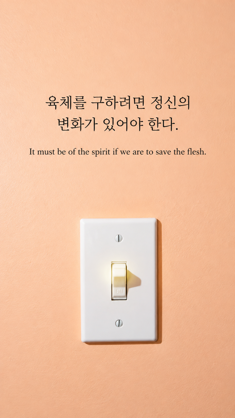 바깥의 발전과 마음의 변화 &mdash; 밝은 온카메라 플래시 스냅에 한글과 영어 문구를 담은 맥아더 명언 이미지