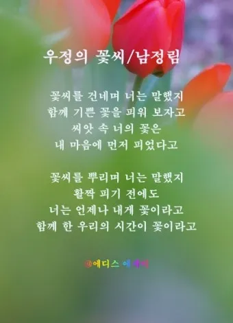 친구가 없어요 그래서 외롭다고 느낄 때와 친구에 관한 우정 명언을 알아보는 내용_2