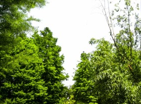 화담숲-9