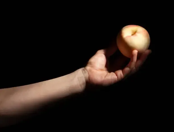 신비복숭아 후숙방법