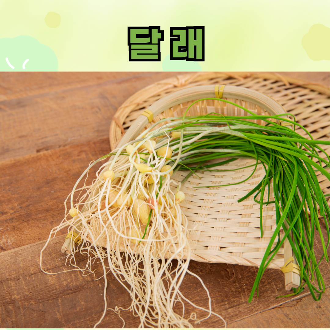 봄제철