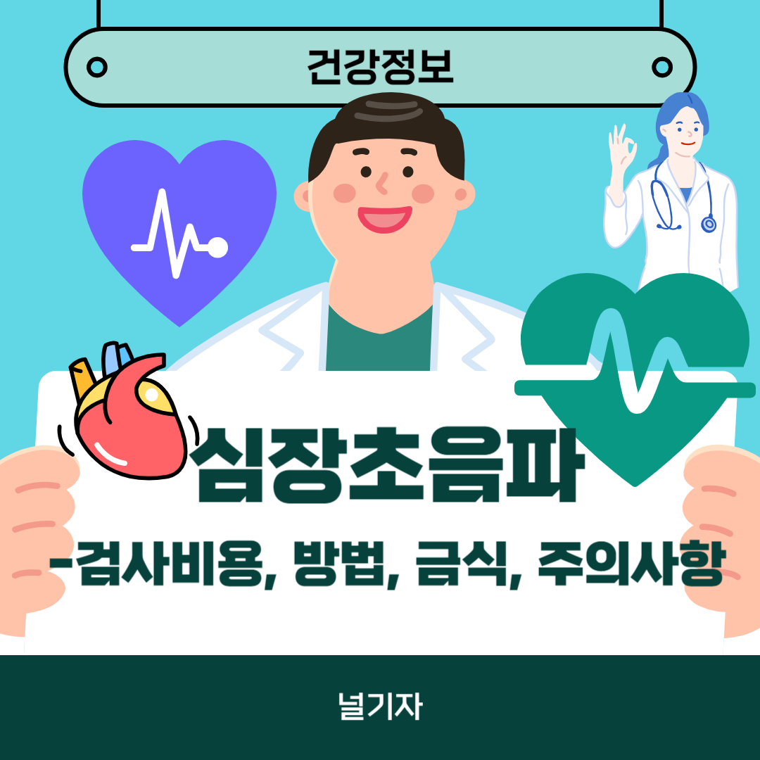 심장초음파 검사비용 방법 금식 시간