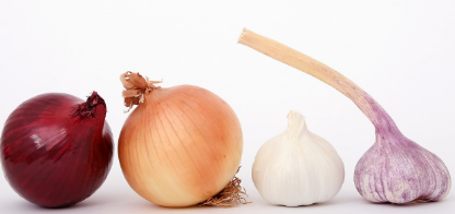 지방간에 좋은 음식