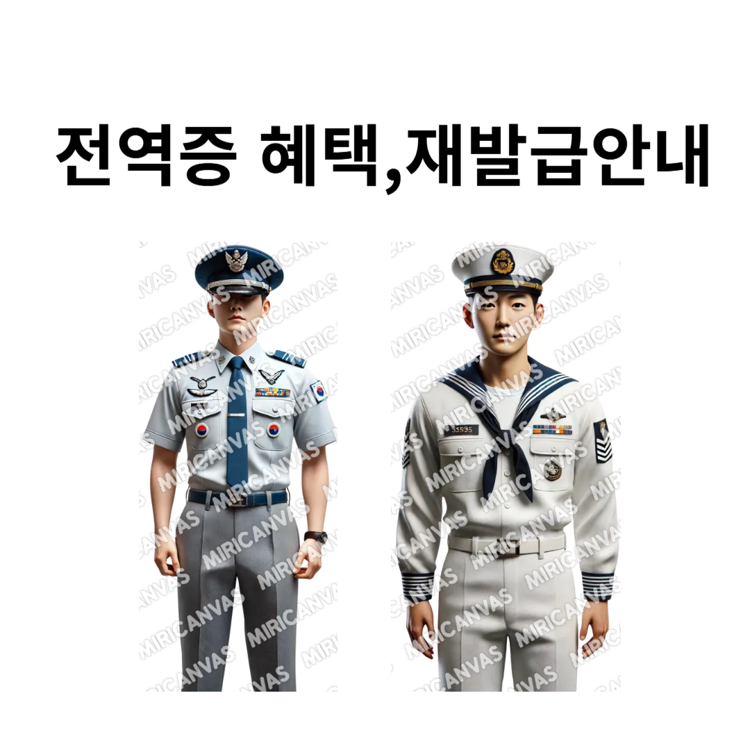 전역증 혜택, 재발급