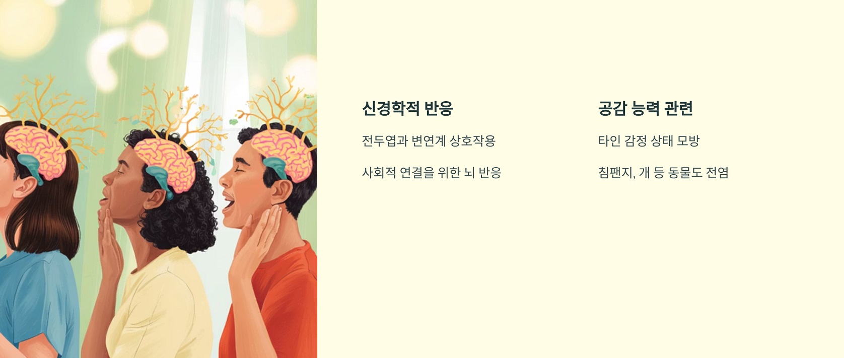 하품 전염의 과학적 원리