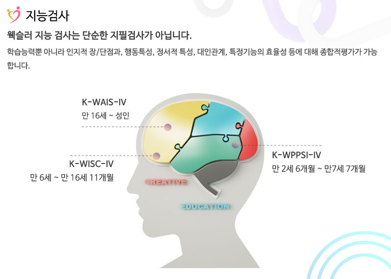 웩슬러 지능검사의 필요성