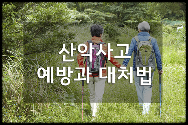 경북 산악사고 주의보 발령: 주의해야 할 상황과 예방법